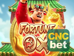 Download CNCBET Windows
