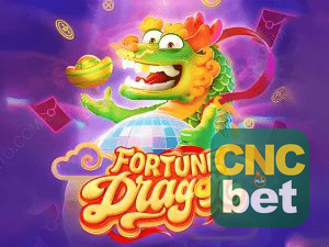 Vantagens App CNCBET