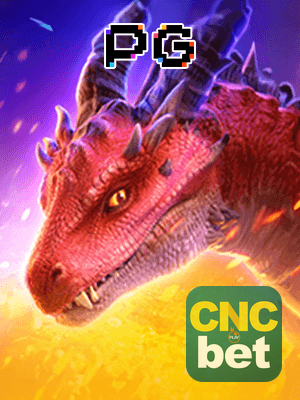 Recursos App CNCBET