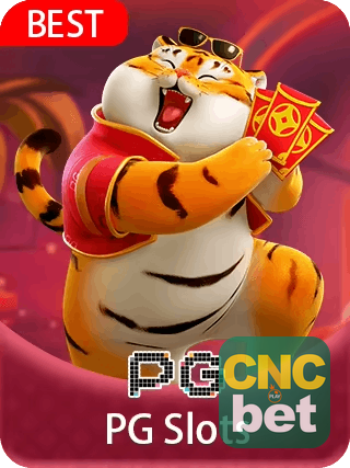 Ganhador CNCBET